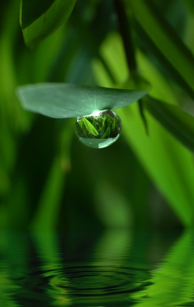 Systemische Therapie