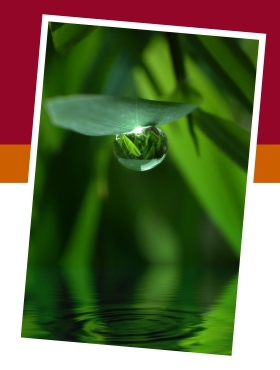 Systemische Therapie